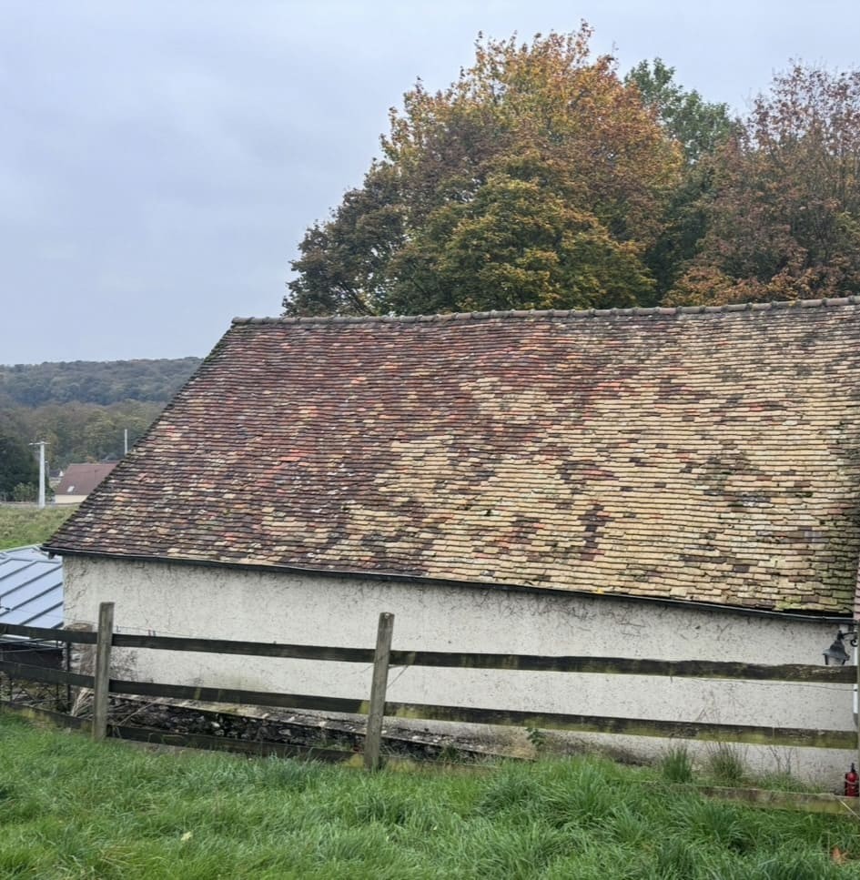 Couvreurs, charpentiers, zingueurs, peintres, façadiers et ramoneurs à Bois d'Arcy (78390) dans les Yvelines (78)