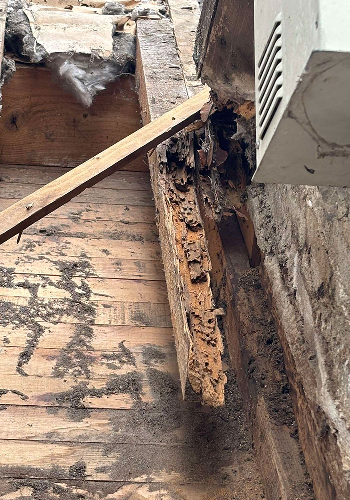 Traitement contre les nuisibles des bois de charpente à Bois d'Arcy (78390) dans les Yvelines (78).